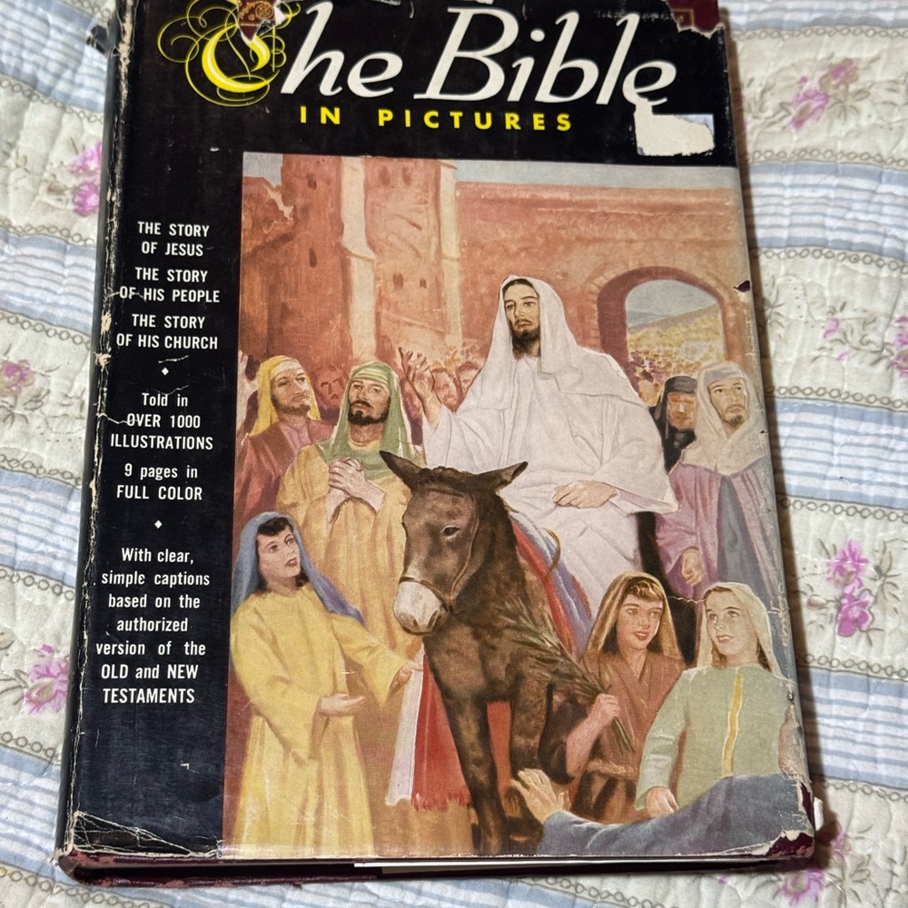 The Bible in Pictures by Greystone Press